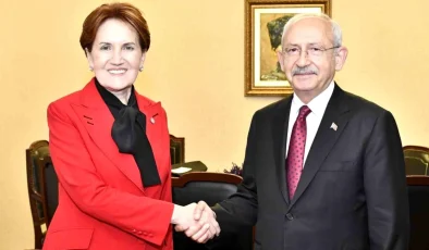 İYİ Parti eski Genel Başkanı Meral Akşener partisine veda etti