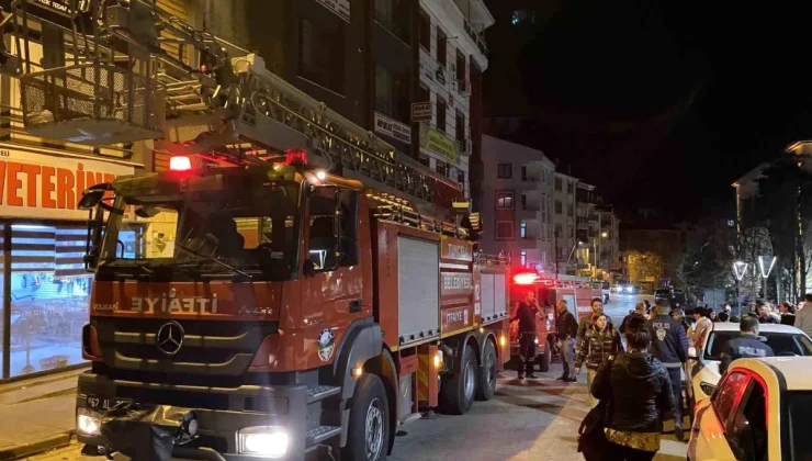 Tunceli’de apartman boşluğunda çıkan yangında evcil hayvanlar kurtarıldı