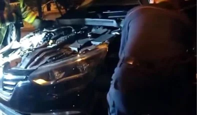 İzmit’te otomobile giren yılan korkuttu