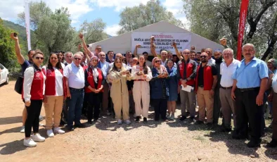 Muğla Arısının Seleksiyon ve Islahının Sürdürülebilirliği Projesi kapsamında 100 adet damızlık ana arı dağıtıldı