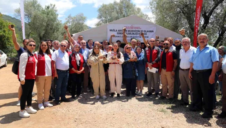 Muğla Arısının Seleksiyon ve Islahının Sürdürülebilirliği Projesi kapsamında 100 adet damızlık ana arı dağıtıldı