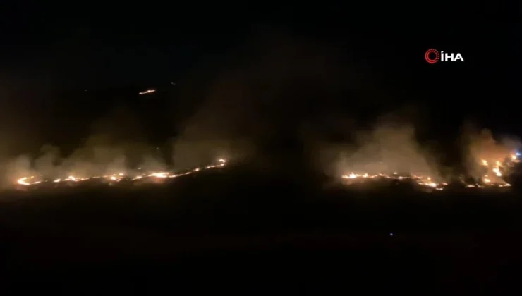 Şanlıurfa’da ormanlık alanda çıkan yangın geceyi aydınlattı