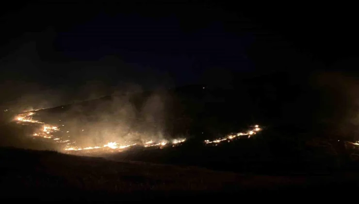 Şanlıurfa’da ormanlık alanda çıkan yangına vatandaşlar ve ekipler müdahale ediyor