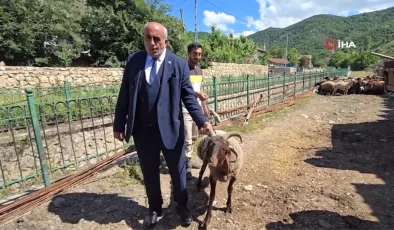 Binali Yıldırım’a dört boynuzlu koç hediye edildi