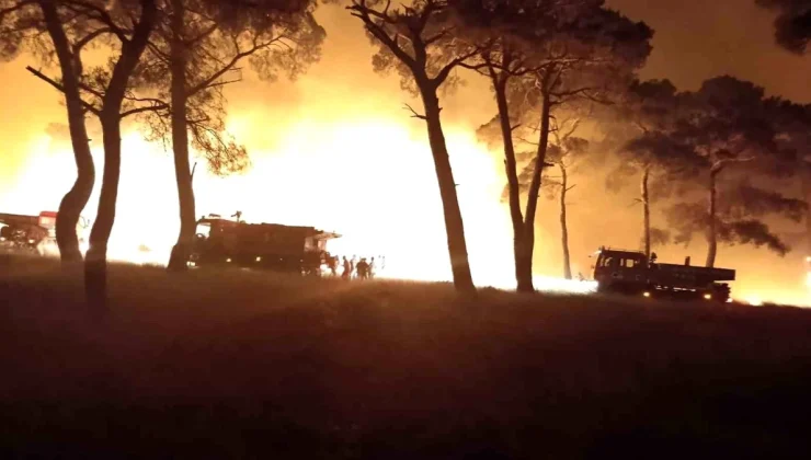 Çanakkale’de Tarım Arazisinde Başlayan Yangın Ormanlık Alana Sıçradı