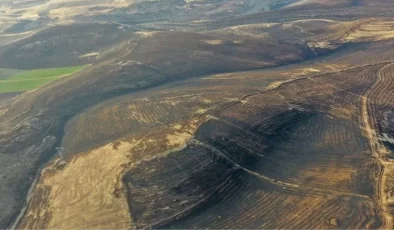 Diyarbakır ve Mardin’de 5 kişinin öldüğü yangının boyutu gün ağarınca ortaya çıktı