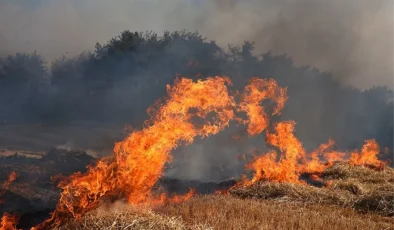 Dünden beri alevlere teslim olan Çanakkale’de yangının ilerlemesi durduruldu