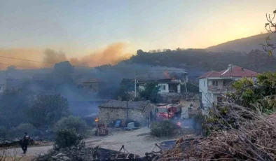 Manisa’da Dibek Dağı’nda çıkan orman yangınında 300 hektar alan zarar gördü