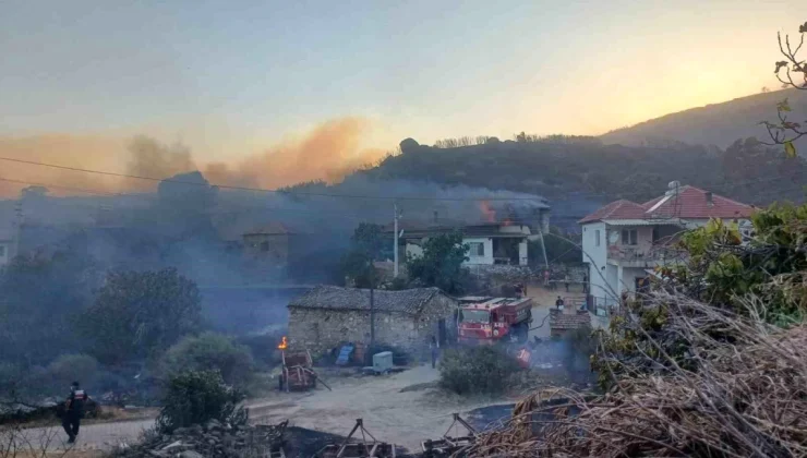 Manisa’da Dibek Dağı’nda çıkan orman yangınında 300 hektar alan zarar gördü