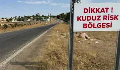 Niğde’de 1 kişiyi hastanelik eden başıboş köpek öldü, mahalle karantinaya alındı