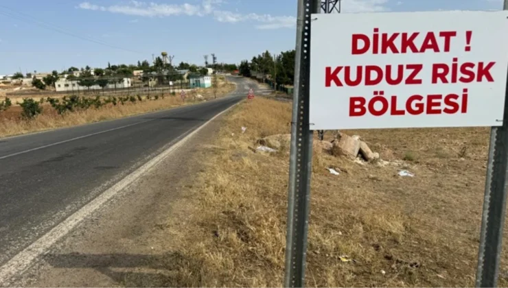 Niğde’de 1 kişiyi hastanelik eden başıboş köpek öldü, mahalle karantinaya alındı