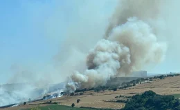 Tekirdağ’da Tarlada Çıkan Yangında Buğdaylar Küle Döndü