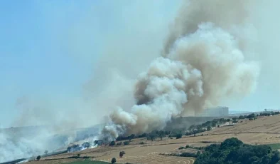 Tekirdağ’da Tarlada Çıkan Yangında Buğdaylar Küle Döndü