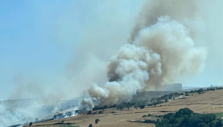 Tekirdağ’da Tarlada Çıkan Yangında Buğdaylar Küle Döndü