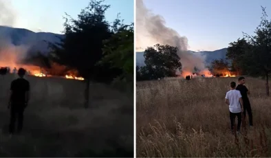 Tokat’ta düğünde atılan havai fişekler kuru otları tutuşturdu