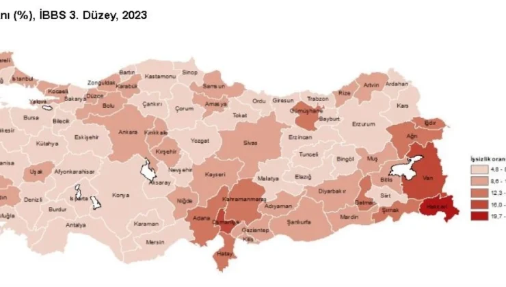 2023 Yılında İşsizlik Oranı En Yüksek Hakkari, En Düşük Sinop Oldu