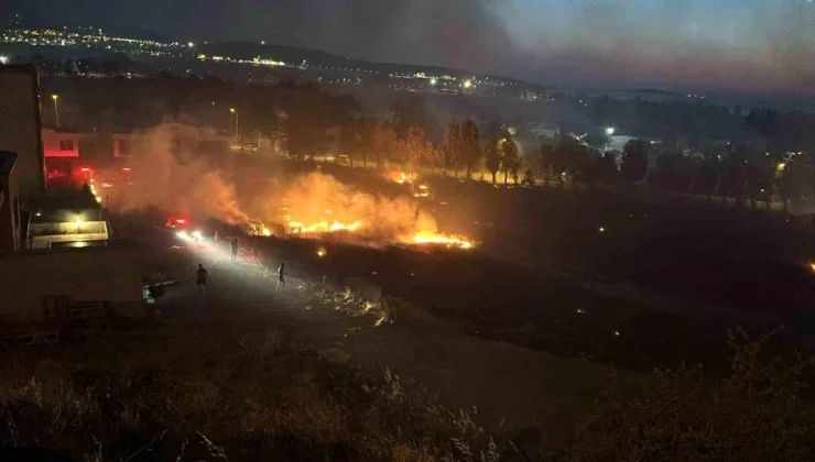 İzmir Aliağa’da çıkan yangın evlere ve otele sıçramadan söndürüldü