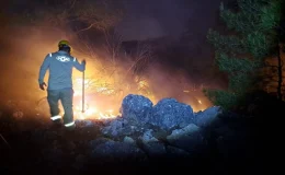 Mersin’de çıkan örtü yangını kontrol altına alındı