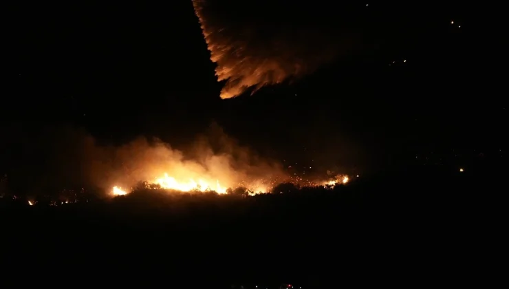 İzmir Urla’da Orman Yangını: Havadan ve Karadan Müdahale Devam Ediyor