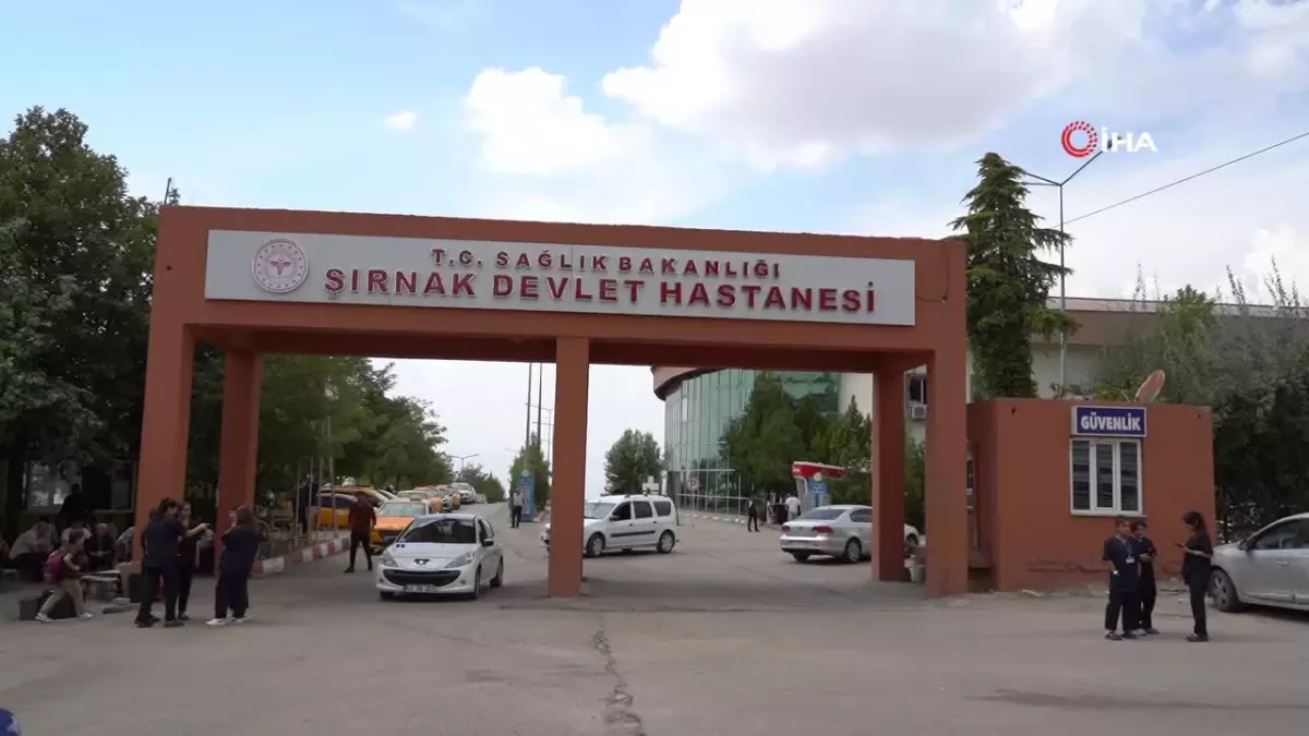 Kadınlar Alzheimer’a Daha Eğilimli